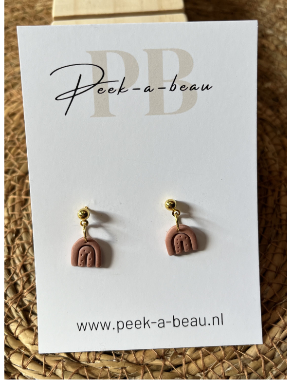 Kinderoorbelletjes regenboog bruin Kinderoorbelletjes regenboog bruin